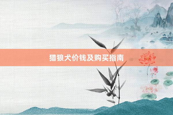 猎狼犬价钱及购买指南